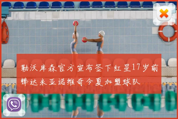 勒沃库森官方宣布签下红星17岁前锋达米亚诺维奇今夏加盟球队