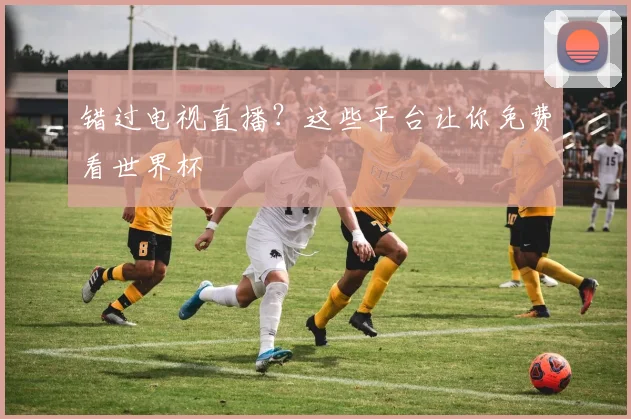 错过电视直播？这些平台让你免费看世界杯
