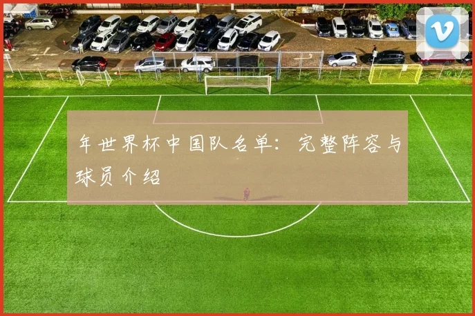 年世界杯中国队名单：完整阵容与球员介绍