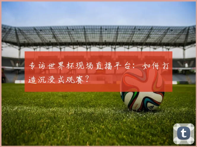 专访世界杯现场直播平台：如何打造沉浸式观赛？