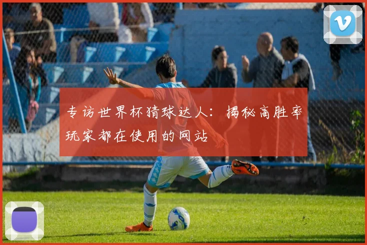 专访世界杯猜球达人：揭秘高胜率玩家都在使用的网站