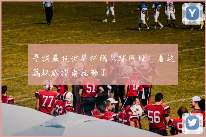 寻找最佳世界杯线买球网址？看这篇权威指南就够了