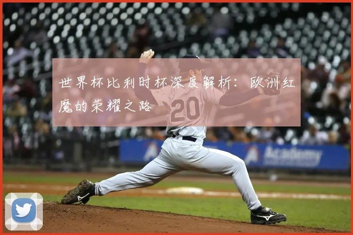 世界杯比利时杯深度解析:欧洲红魔的荣耀之路