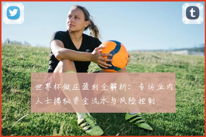 世界杯做庄盈利全解析：专访业内人士揭秘资金流水与风险控制