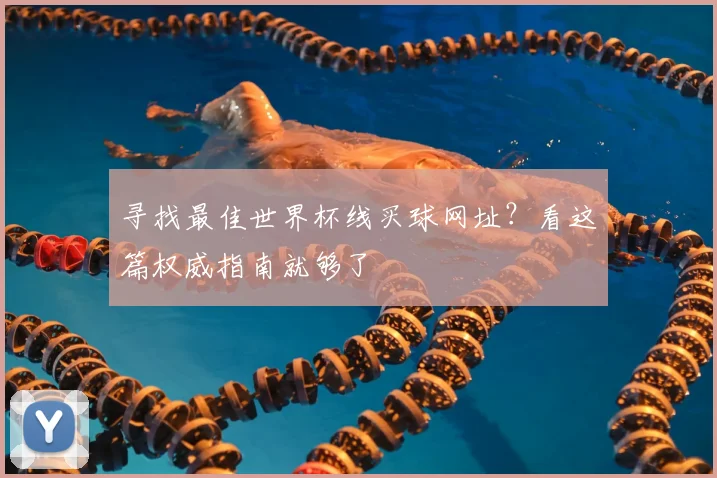 寻找最佳世界杯线买球网址？看这篇权威指南就够了