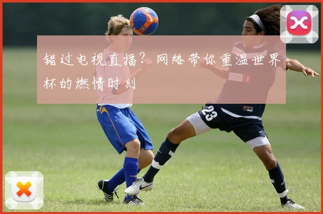 错过电视直播？网络带你重温世界杯的燃情时刻