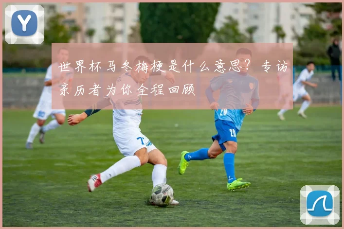 世界杯马冬梅梗是什么意思？专访亲历者为你全程回顾