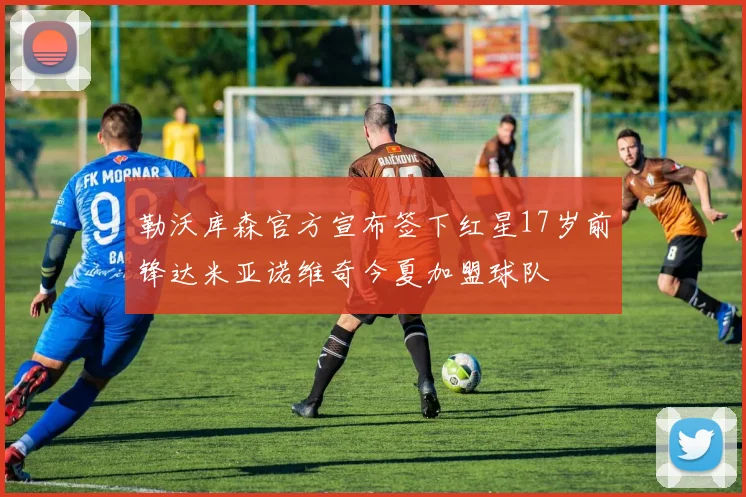 勒沃库森官方宣布签下红星17岁前锋达米亚诺维奇今夏加盟球队