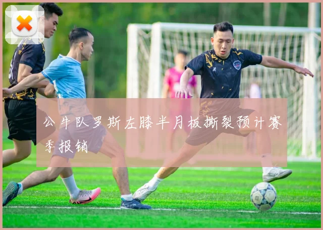 公牛队罗斯左膝半月板撕裂预计赛季报销
