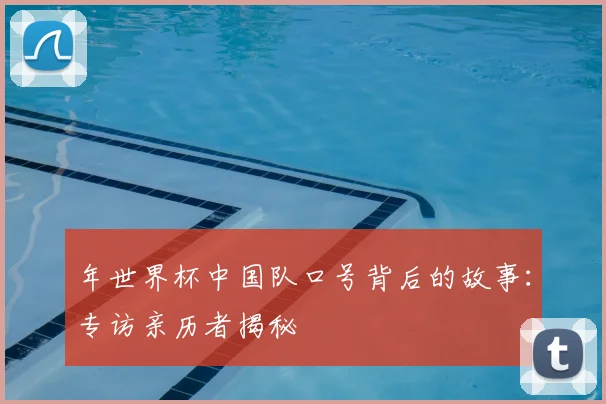 年世界杯中国队口号背后的故事:专访亲历者揭秘
