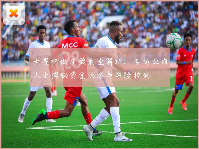 世界杯做庄盈利全解析：专访业内人士揭秘资金流水与风险控制